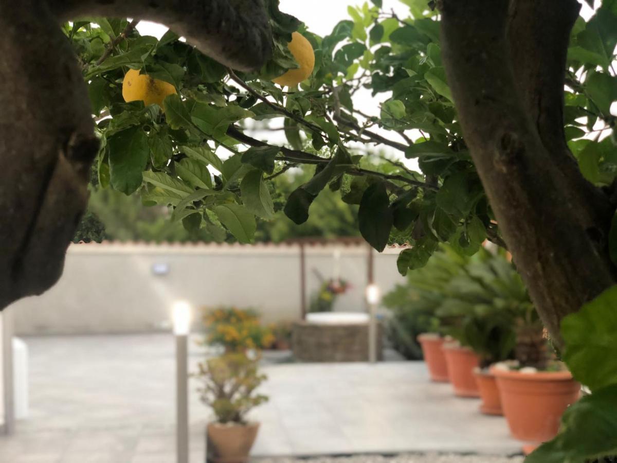 Invilla Bed&Breakfast - Quality Rooms Santa Maria di Castellabate Ngoại thất bức ảnh