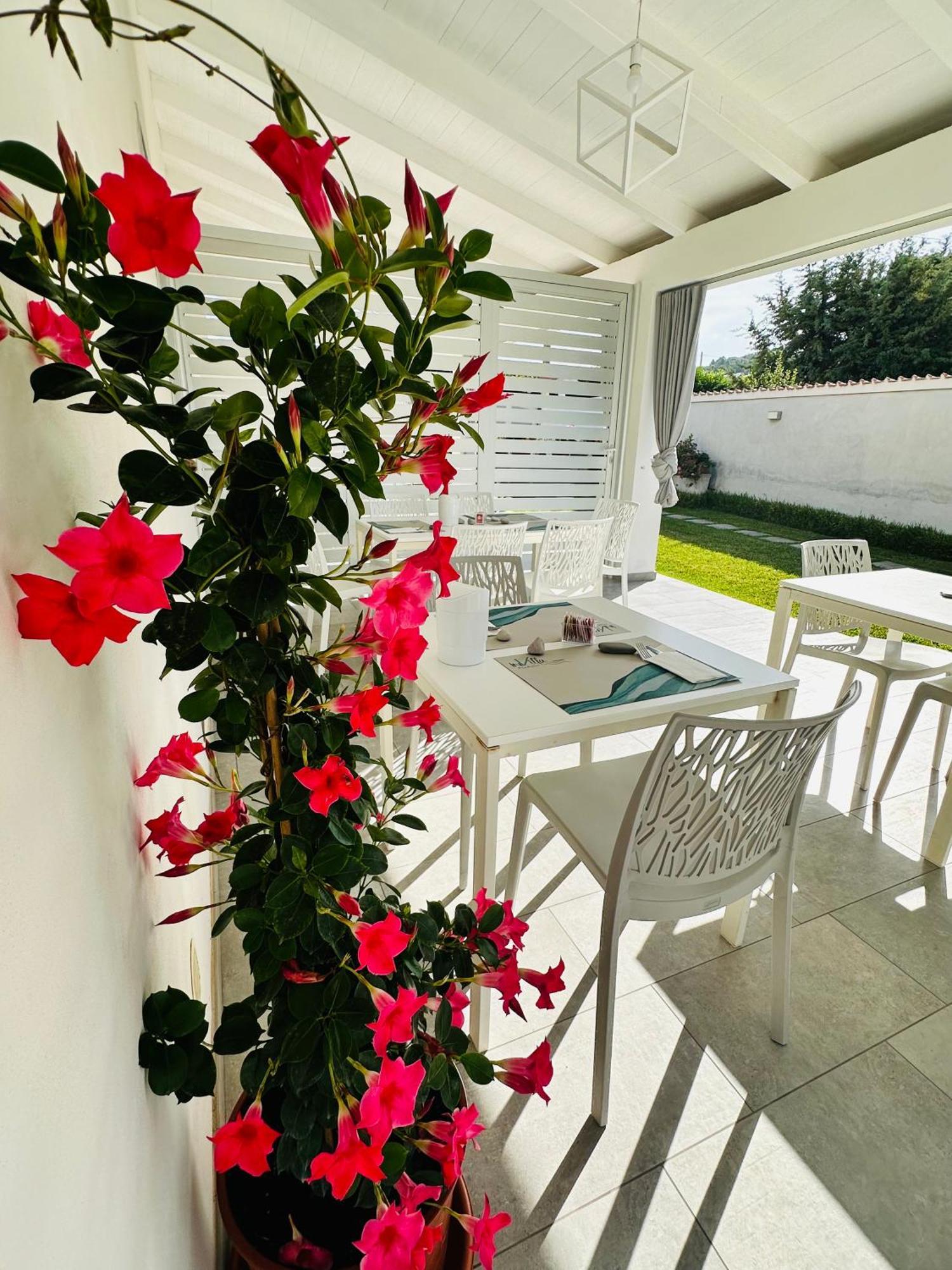 Invilla Bed&Breakfast - Quality Rooms Santa Maria di Castellabate Ngoại thất bức ảnh